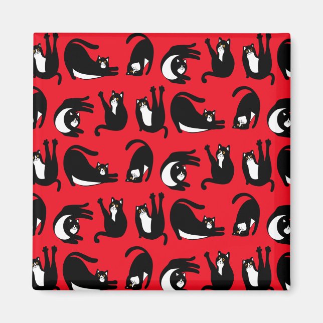 Funny Black Red Cat Fitness Magnet (Front)