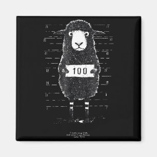 Funny Black Sheep Mugshot Lost But Found Humor Fun Magnet