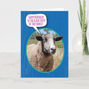 Funny Black Sheep of the Family Birthday Card
