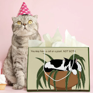 Funny Black White Tuxedo Cat Sleeping  Houseplant Large Gift Bag