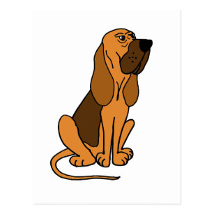 Cartoon Bloodhound Gifts On Zazzle Au