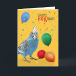 Funny Blue and White Budgie Parakeet Birthday Card<br><div class="desc">Budgies are popular pets,  being small and sweet parakeets in a varying palette of colors and markings. This cute blue and white Budgerigar sends happy BIRDday wishes to the bird person in your life.</div>