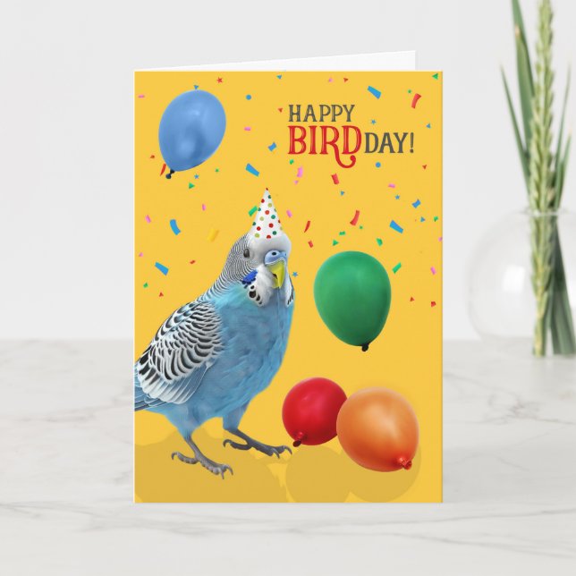 Funny Blue and White Budgie Parakeet Birthday Card (Front)