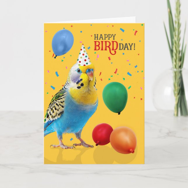 Funny Blue and Yellow Budgie Parakeet Birthday Card (Front)