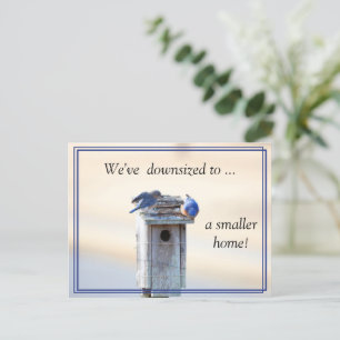 Funny Bluebirds House - Change of Address Postcard