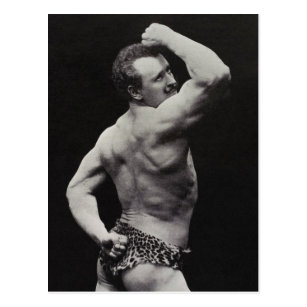 Funny Bodybuilder Postcard