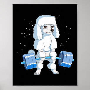 Funny Bodybuilding Poodle Dog Weightlifting Men Wo Poster