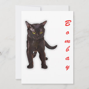 Funny Bombay Cat Japan Gift For Dad Mum Brother Announcement