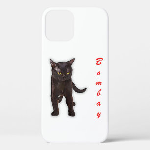 Funny Bombay Cat Japan Gift For Dad Mum Brother iPhone 12 Case
