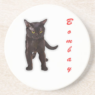 Funny Bombay Cat Japan Gift For Dad Mum Brother Coaster