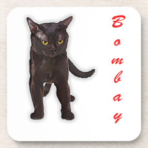 Funny Bombay Cat Japan Gift For Dad Mum Brother Coaster