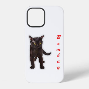 Funny Bombay Cat Japan Gift For Dad Mum Brother iPhone 12 Case
