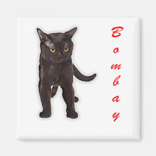Funny Bombay Cat Japan Gift For Dad Mum Brother Magnet