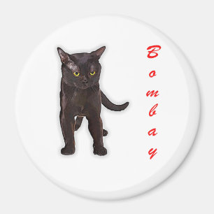 Funny Bombay Cat Japan Gift For Dad Mum Brother Magnet
