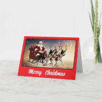 Funny Border Collie Christmas Holiday