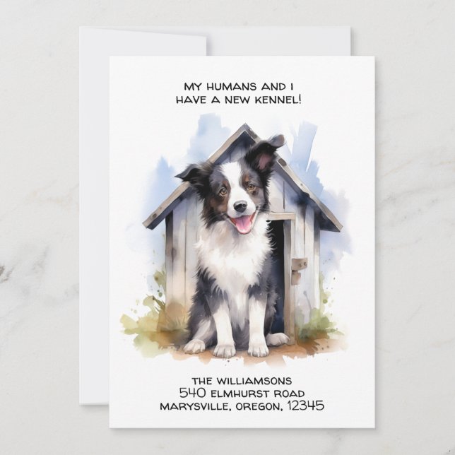 Funny Border Collie Dog Moving Announcement (Front)