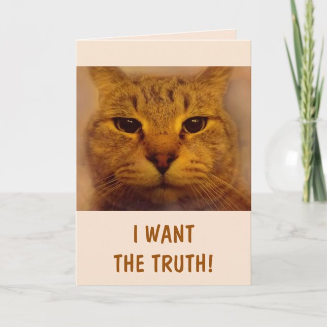 Funny Bossy Cat Get Well Card (Front)