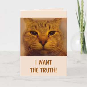 Funny Bossy Cat Get Well Card