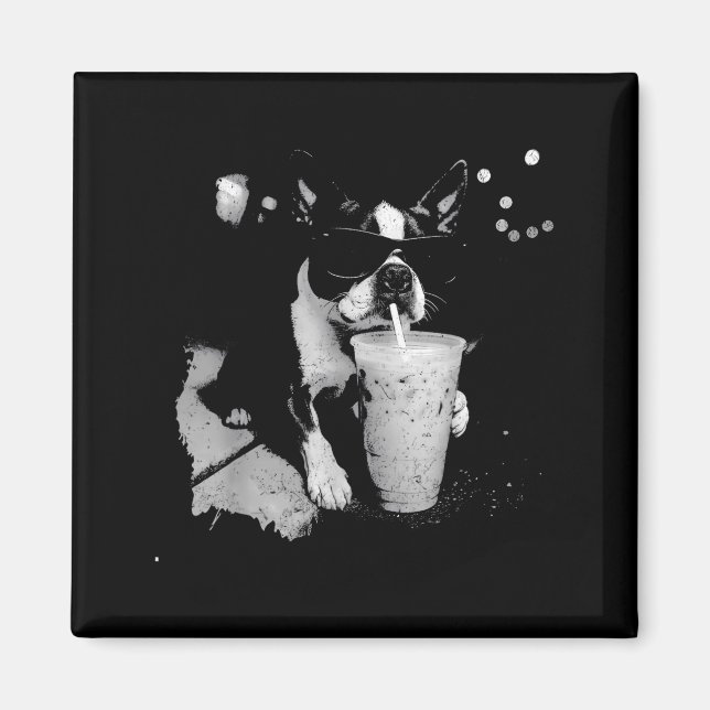 Funny boston terrier drinking iced coffee dog magnet (Front)