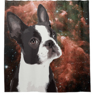 Funny Boston Terrier in Space Shower Curtain