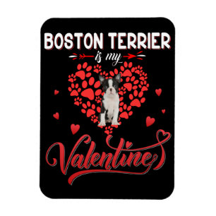 Funny Boston Terrier Is My Valentine Magnet