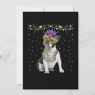 Funny Boston Terrier Wearing Carnival Mask Mardi Announcement