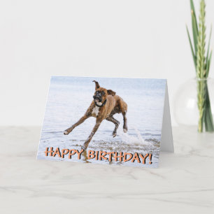 Funny boxer dog birthday card