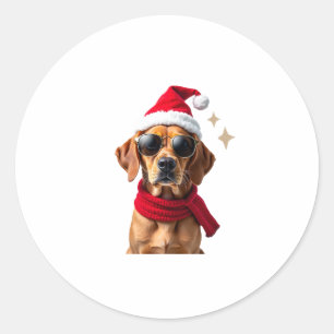 Funny Boxer Dog Christmas Lights Xmas Outfit Pajam Classic Round Sticker