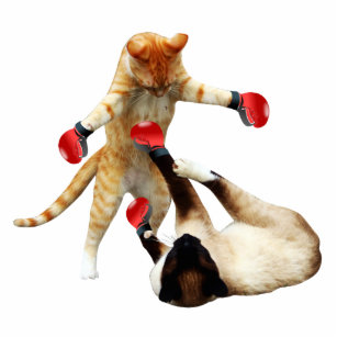 Funny boxing cats photo sculpture magnet