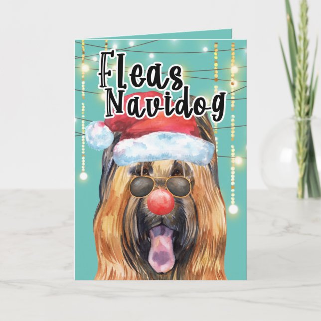 Funny Briard dog in lights fleas navidog Card (Front)
