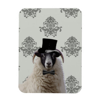 Funny bridegroom sheep in top hat magnet