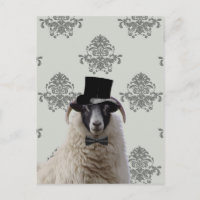 Funny bridegroom sheep in top hat