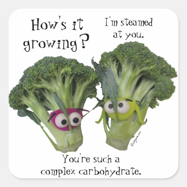 Funny Broccoli Talk Square Sticker (Front)