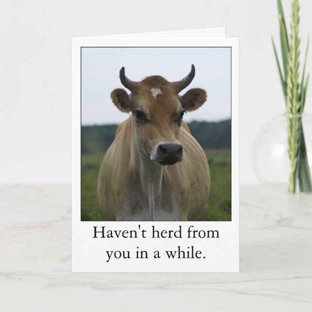 Funny Brown Cow greeting card (Front)