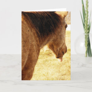 Funny Buckskin Card