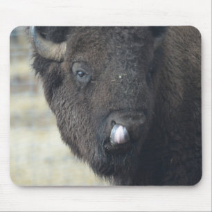 Funny Buffalo Mouse Pad