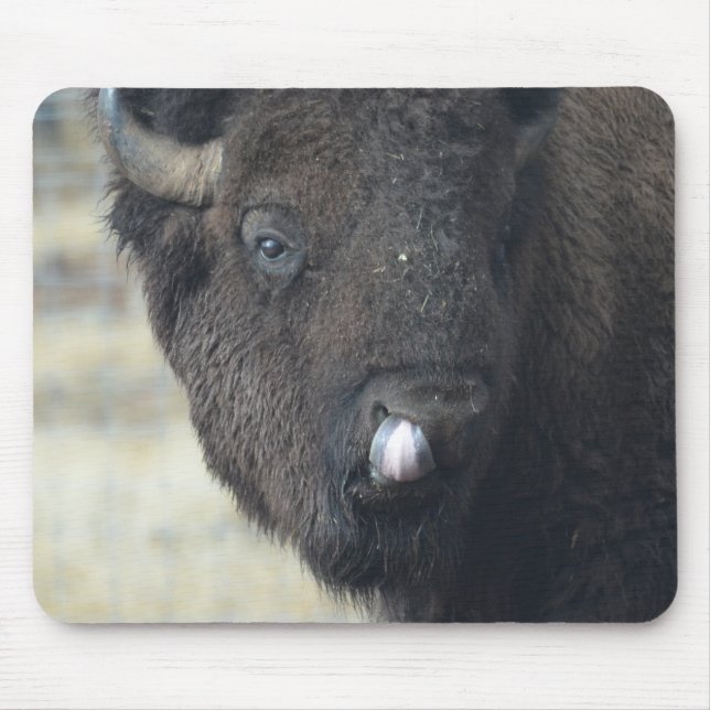 Funny Buffalo Mouse Pad (Front)