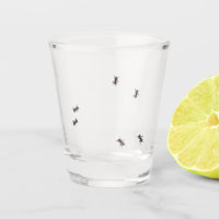 Funny Bug Ant Crawling Party