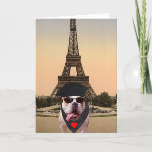 Funny Bull Dog French Valentine Holiday Card