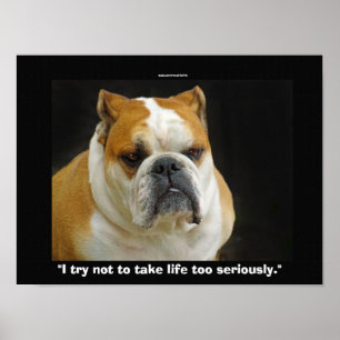 Funny Bull Dog Pet-lovers Demotivational Poster