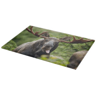 Funny Bull Moose Cutting Board