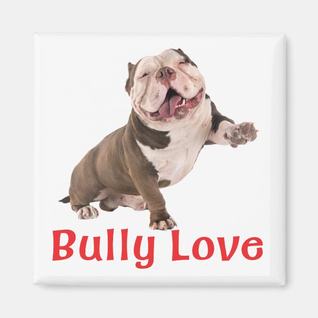 Funny Bulldog American Bully Love Puppy Dog Magnet (Front)