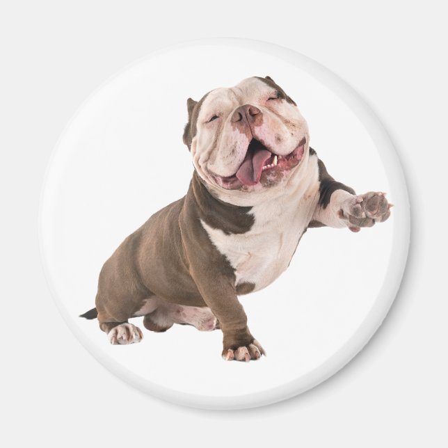 Funny Bulldog American Bully Love Puppy Dog  Magnet (Front)