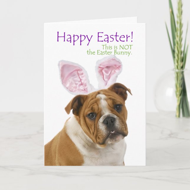 Funny Bulldog Easter Card (Front)