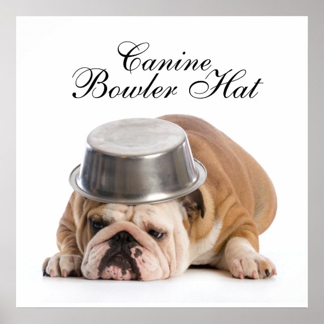 Funny Bulldog Fashion - Poster - srf (Front)