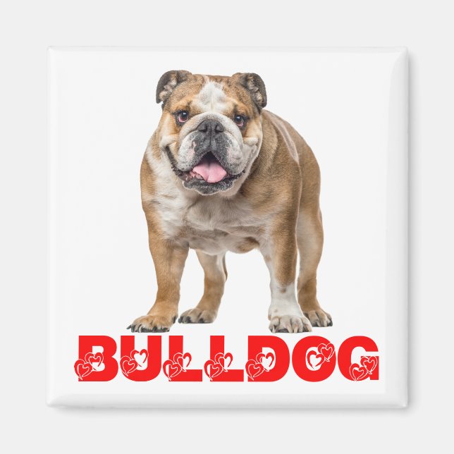 Funny Bulldog Lover Funny Bully Puppy Dog  Magnet (Front)