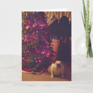 Funny Bulldog Photo Holiday Christmas Card