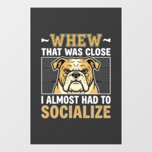 Funny Bulldog Socialise Dog