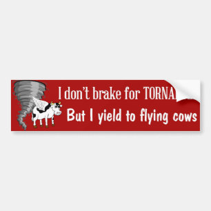 Funny bumper sticker yield to flying cows