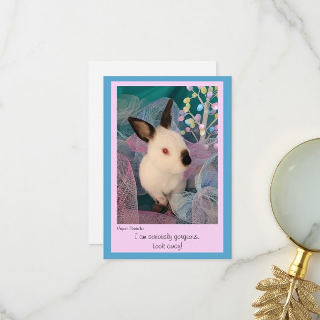 Funny Bunny Flat Greeting Card w/ Envelope (Front/Back In Situ)